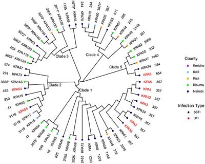 Genetic Diversity, Distribution, and Genomic Characterization of Antibiotic Resistance and Virulence of Clinical Pseudomonas aeruginosa Strains in Kenya